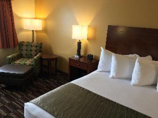 Hotel Western Falcon Plaza